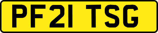 PF21TSG
