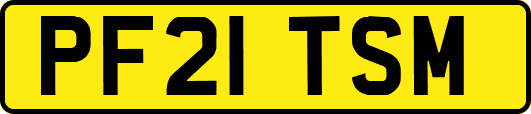 PF21TSM