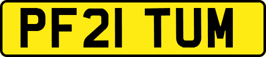 PF21TUM