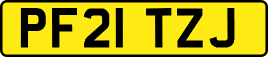 PF21TZJ