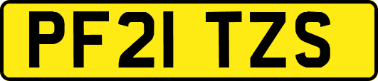 PF21TZS