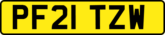 PF21TZW