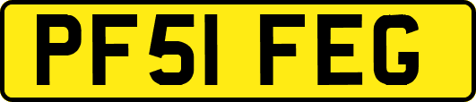 PF51FEG