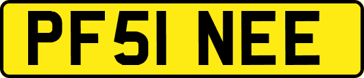 PF51NEE