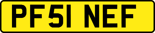 PF51NEF