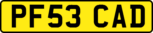PF53CAD