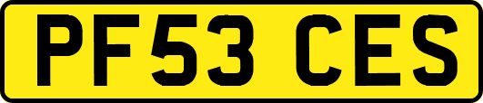 PF53CES