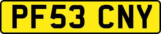 PF53CNY