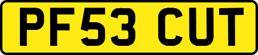 PF53CUT