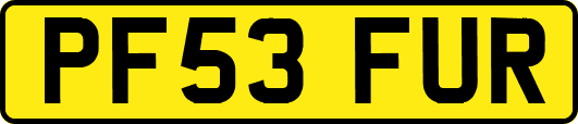 PF53FUR
