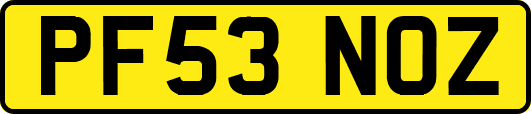 PF53NOZ