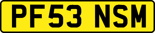 PF53NSM