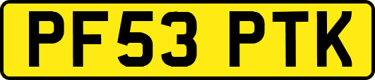 PF53PTK