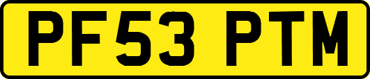 PF53PTM
