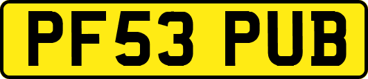 PF53PUB