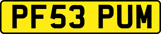 PF53PUM