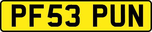 PF53PUN