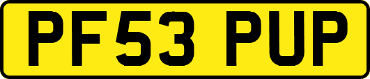 PF53PUP