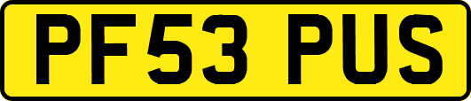 PF53PUS