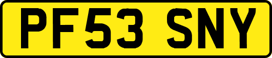 PF53SNY