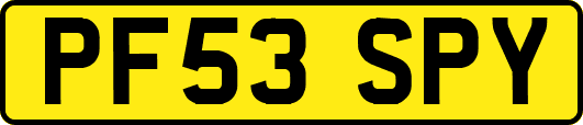 PF53SPY