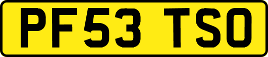 PF53TSO