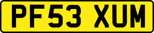 PF53XUM