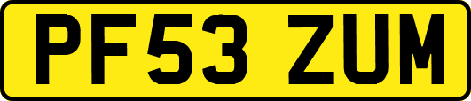 PF53ZUM