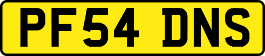 PF54DNS