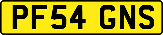 PF54GNS