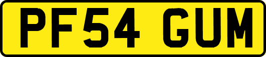 PF54GUM