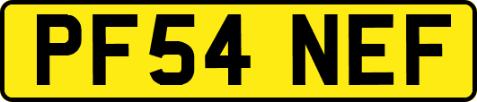 PF54NEF