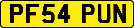 PF54PUN