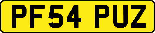 PF54PUZ
