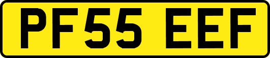 PF55EEF