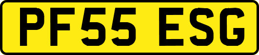 PF55ESG