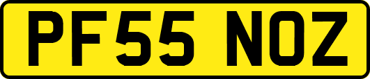 PF55NOZ