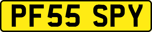 PF55SPY
