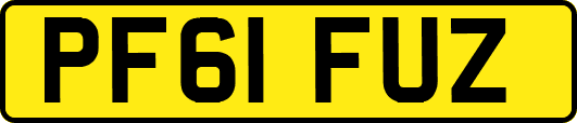 PF61FUZ