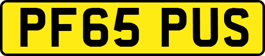PF65PUS