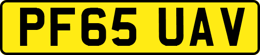 PF65UAV