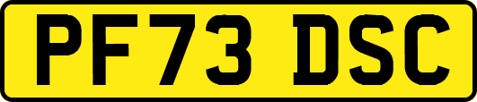 PF73DSC