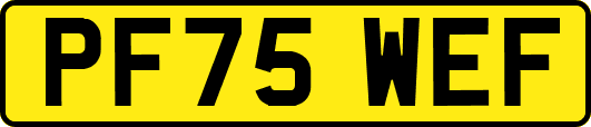 PF75WEF