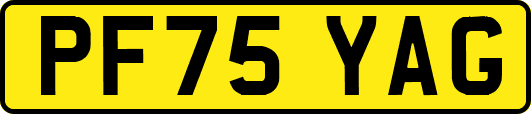 PF75YAG