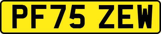 PF75ZEW