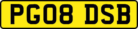 PG08DSB
