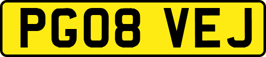PG08VEJ