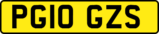 PG10GZS