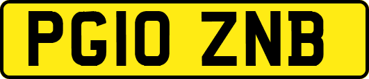 PG10ZNB