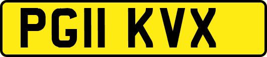 PG11KVX